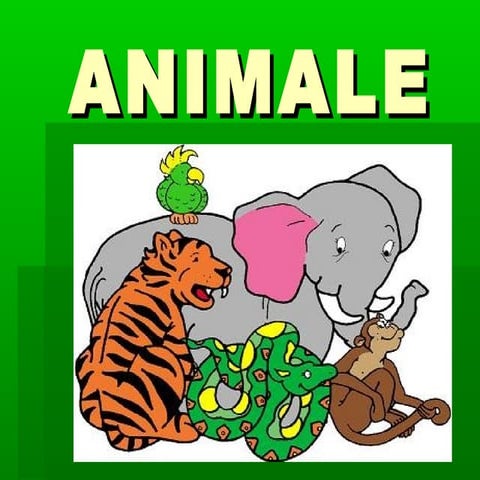 Los Animales
