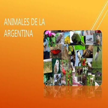 Animales de la argentina