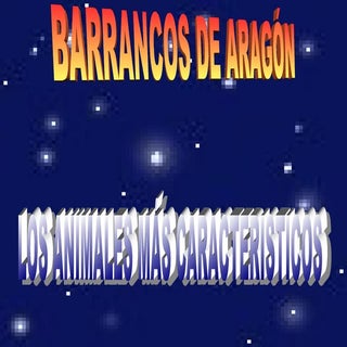 Animales de los barrancos de aragón