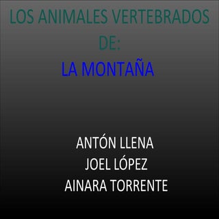 Animales de montaña de aragón