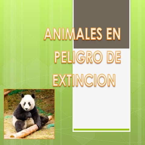 Animales diapo