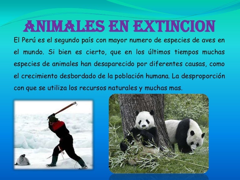 Animales en extension