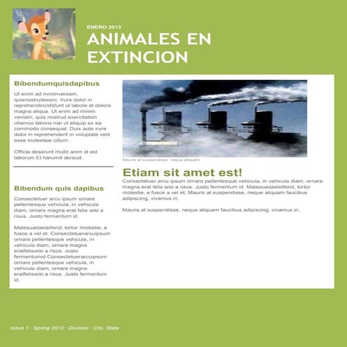 Animales en extinción