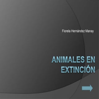 Animales en extincion.mm