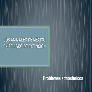 Animales en extincion 