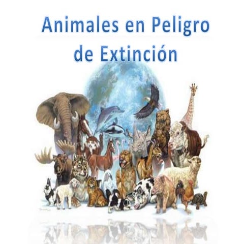 Animalesenpaligrodeextincion 110811100527-phpapp01