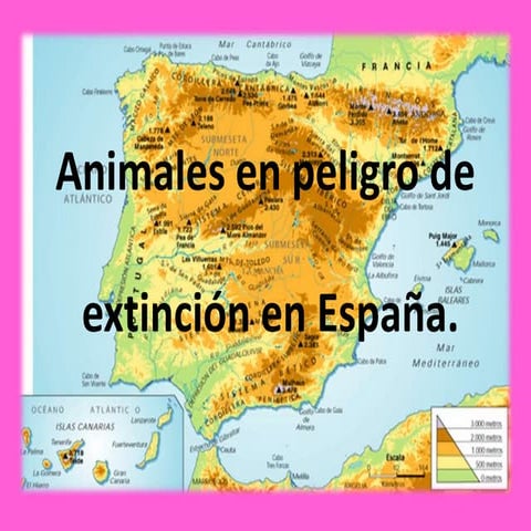 Animales en peligro de extincion en España