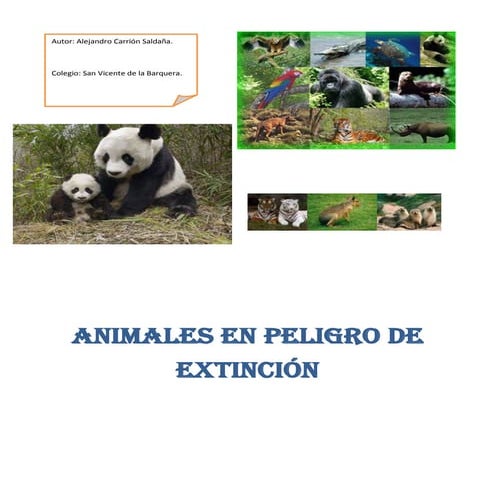 Animales en peligro de extinción