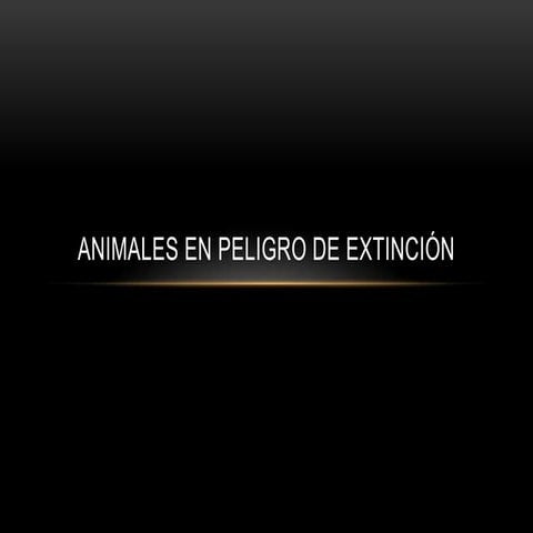 Animal en peligro de extinción:chinchilla