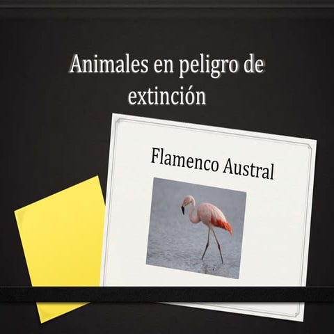 Animales en peligro de extinción