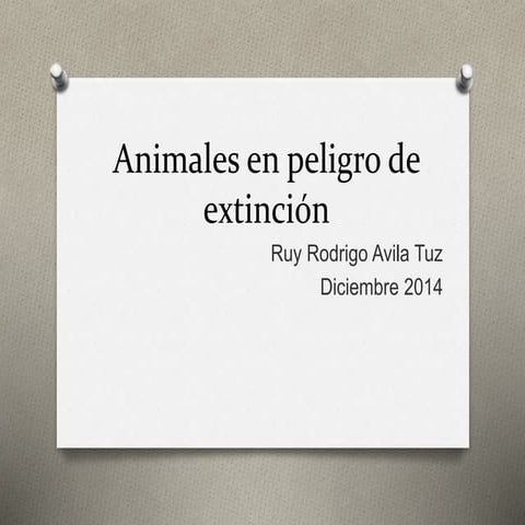 Animales en peligro de extinción