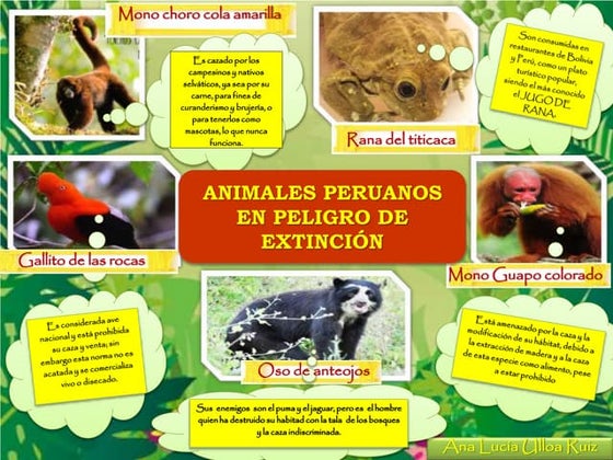 Infografia | DOCX