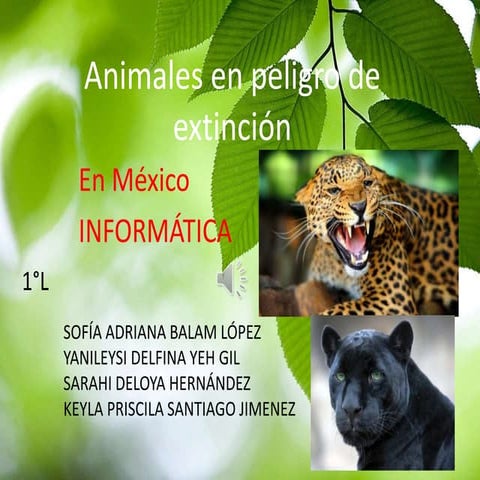 Animales en peligro de extinción