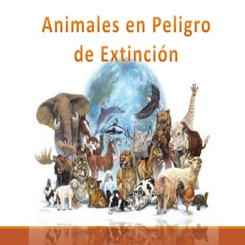 Animales en peligro de extinción