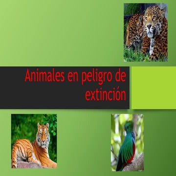 Animales en peligro de extinción