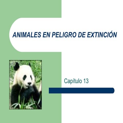 Animales en peligro de extincion