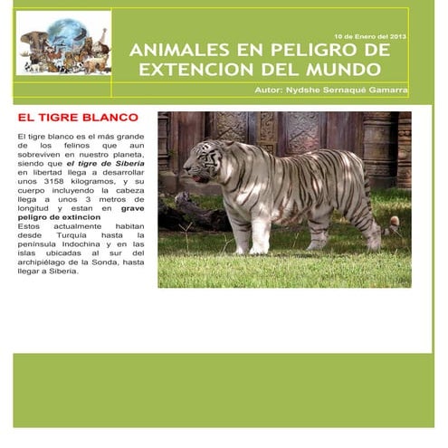 Animales en peligro de extincion  - nydshe sernaque gamarra