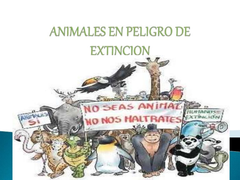 Detalle 53+ imagen frases para animales en peligro de extincion