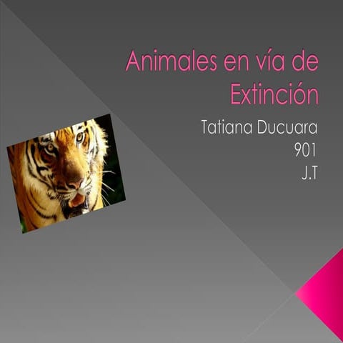 Animales en vía de extinción