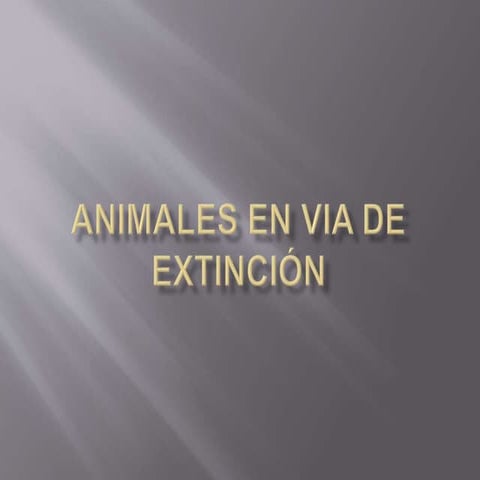 Animales en via de extinción