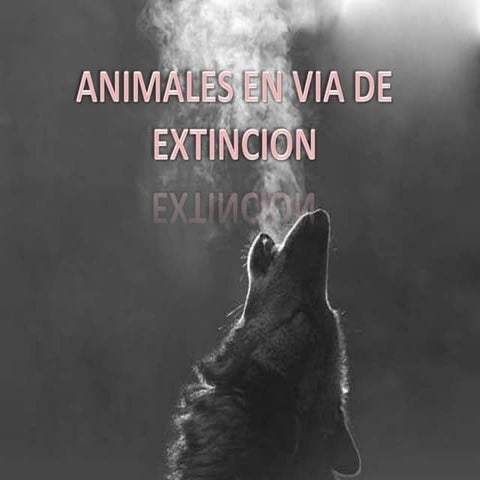 Animales en via de extincion.