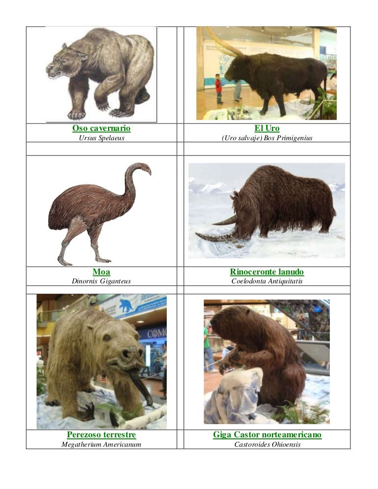 Animales era de hielo