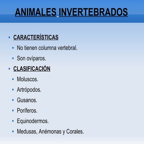 Animales invertebrados
