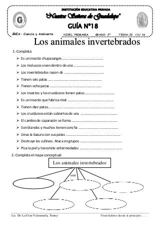 'animales invertebrados' on SlideShare