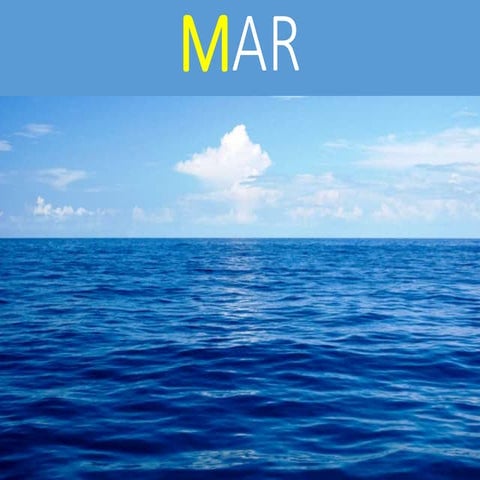 Animales marinos Educación Infantil