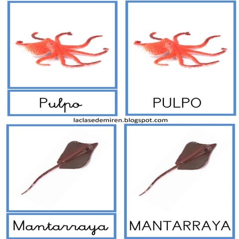 Animales marinos