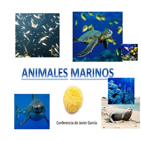 Animales marinos conferencia javier g