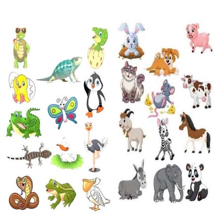 animales-oviparos-y-viviparos-docx