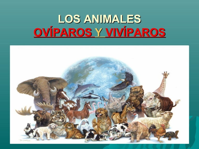 Animales ovíparos y vivíparos blog
