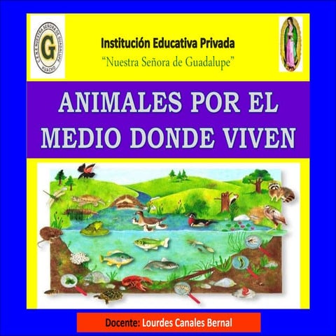 Animales por el medio donde viven 1º | PPTX
