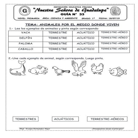Animales por el medio en que viven 33 | PDF