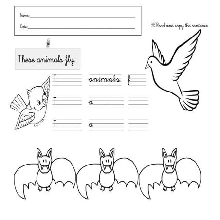 Animales que vuelan 2 | PDF