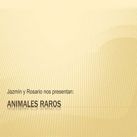 Animales raros