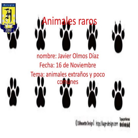 Animales raros
