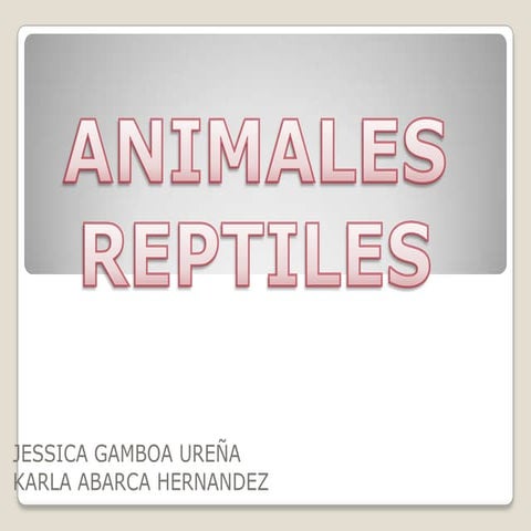 Animales reptiles