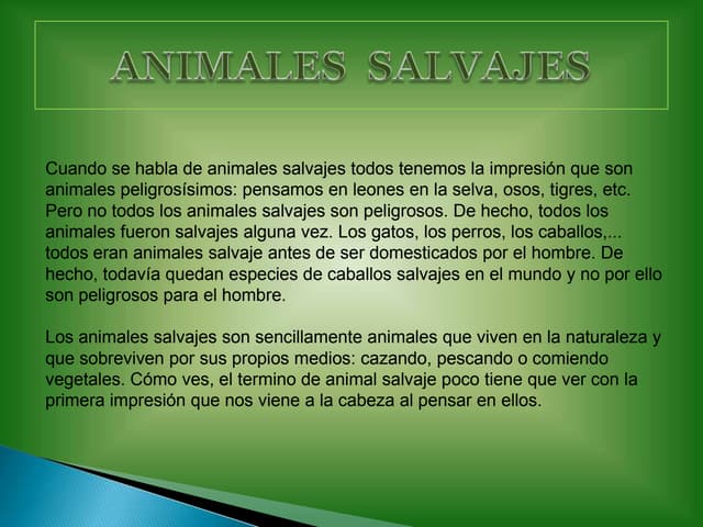 Animales  salvajes