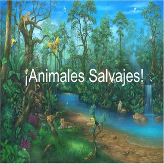 Animales salvajes - Adivinanzas