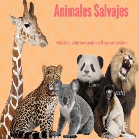 Animales salvajes