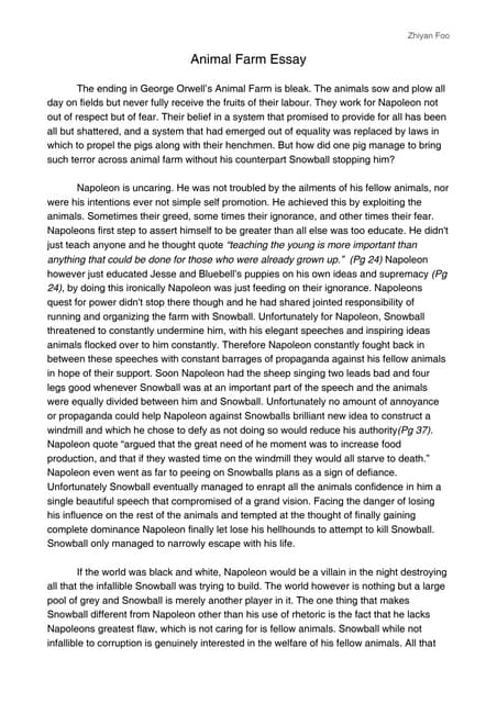 Animal essay