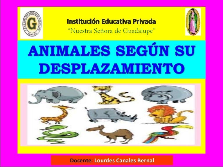 Animales según su desplazamiento 1º