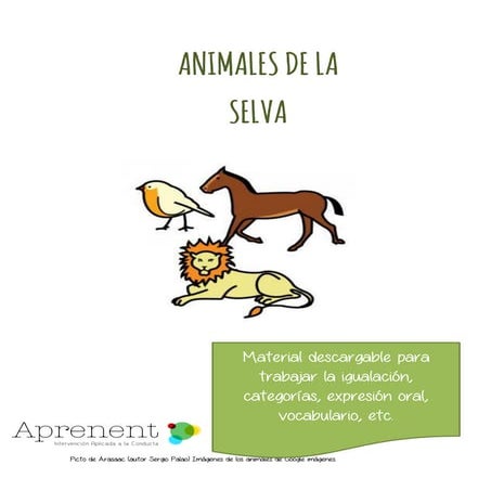 Animales de la Selva
