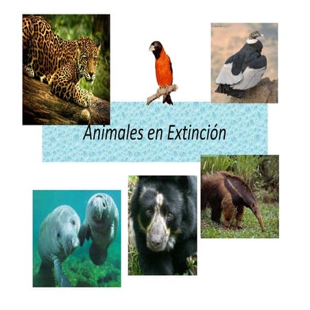 Guia los animales y su hábitat 2º básico | DOC