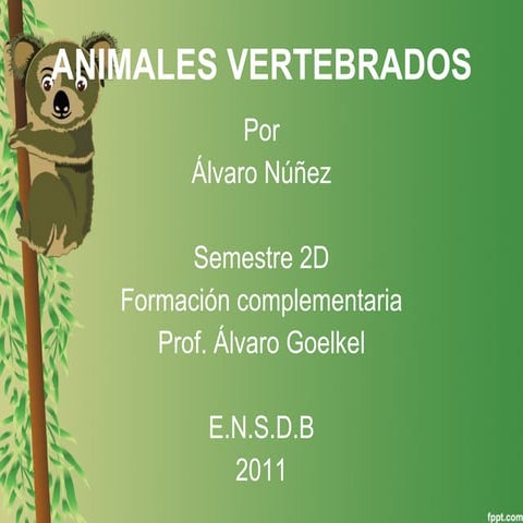 Animales vertebrados