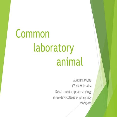laboratory animals