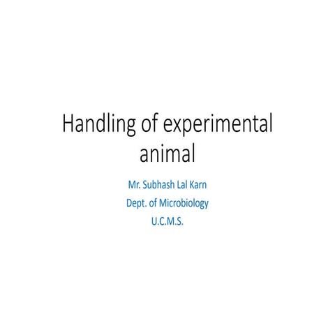 Handling of laboratory animal