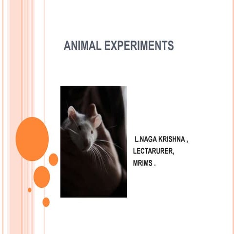 Animal experiments